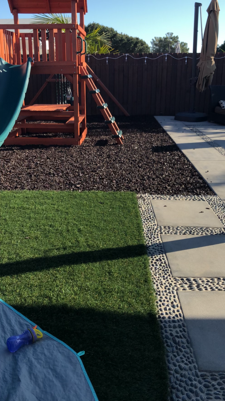 Backyard Before